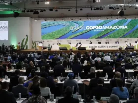 Oceanos precisam de mais financiamento na COP30