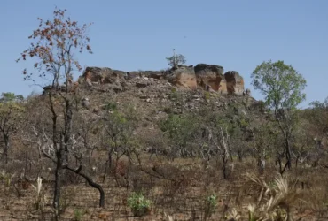 Agência Brasil lança série especial da seleção Nádia Franco sobre o Cerrado