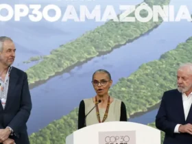 Alemanha confirma aporte de 1 bilhão de euros para florestas tropicais