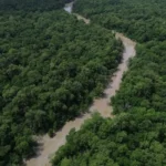Amazônia tem quase metade de sua área protegida, aponta IBGE