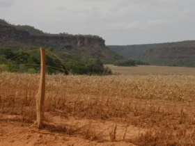 Cerrado: desigualdade no acesso ao Estado intensifica conflitos agrários