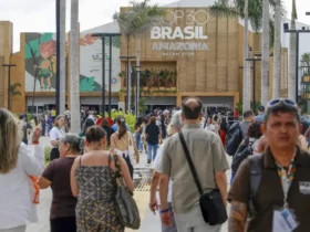 Sebrae reforça estratégia climática para micro e pequenas empresas