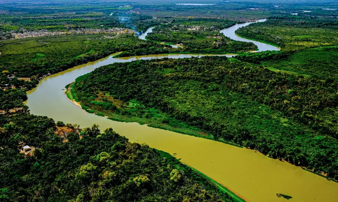 Pantanal perde 75% das áreas alagadas em 40 anos, revela relatório do MapBiomas