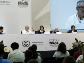 Brasil recebe US$ 300 milhões para plano de saúde climática