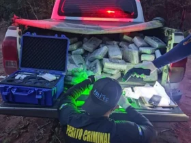 Ação policial apreende 210 kg de drogas em Campo Novo do Parecis