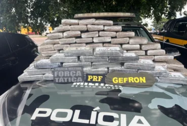 Apreensão de drogas em Nossa Senhora do Livramento