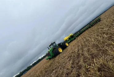 Agricultura em Sorriso - Soja