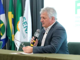 BR-242 Avança e Reúne Mato Grosso e Rondônia