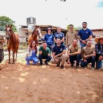 Equoterapia é ampliada com doação de cavalos