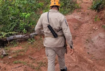 Motorista atropela capivara e foge em Cuiabá