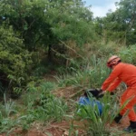 Corpo de Bombeiros resgata caninana em residência