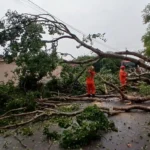 Bombeiros registram três quedas de árvores após temporal em Sinop