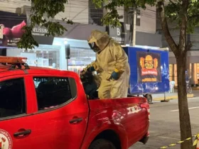 Bombeiros removem enxame de abelhas em Primavera do Leste