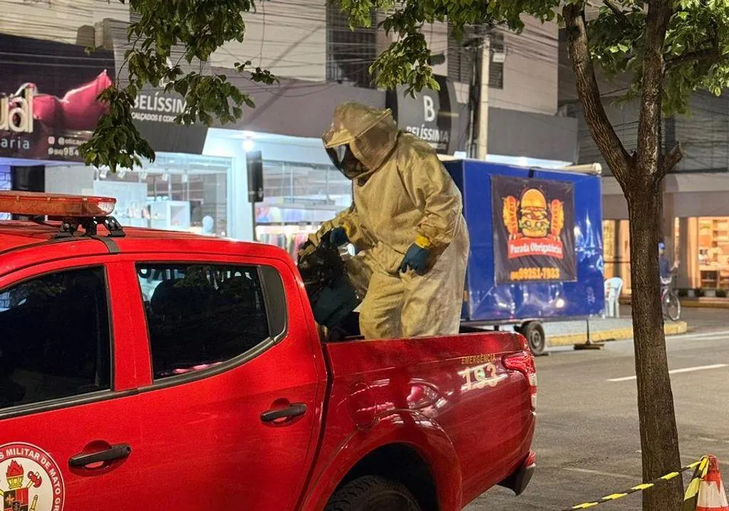 Bombeiros removem enxame de abelhas em Primavera do Leste