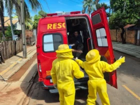 Homem é resgatado após ataque de abelhas em Sinop