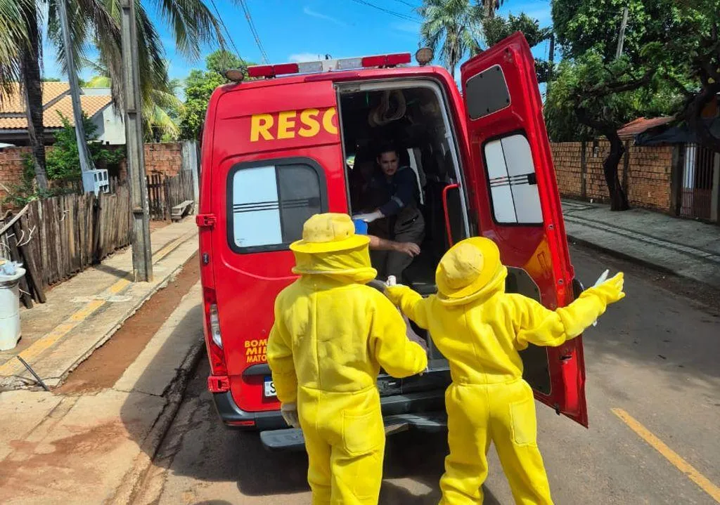 Homem é resgatado após ataque de abelhas em Sinop