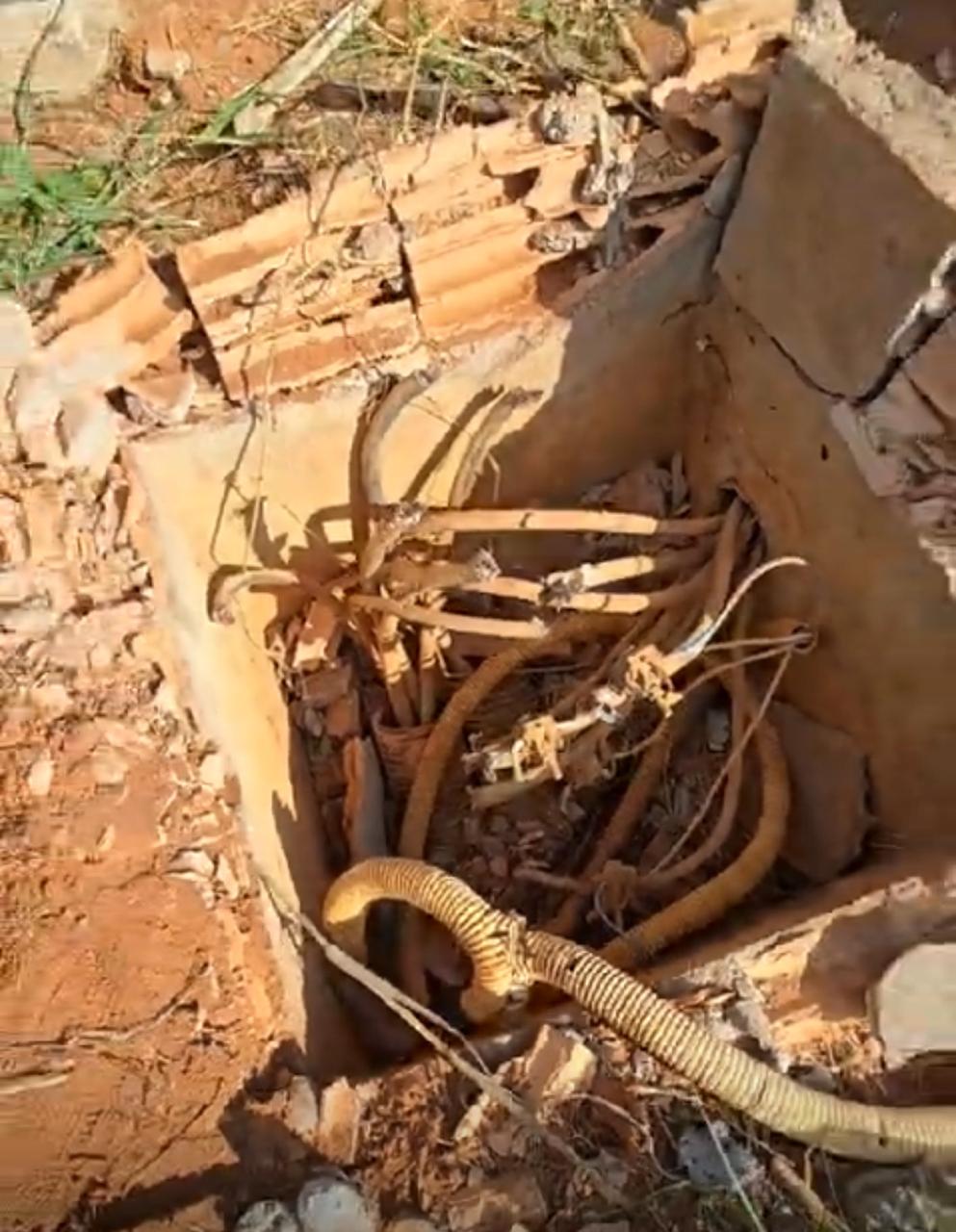 Com a tentativa de furto registrada nesta quarta-feira (5), município soma quatro ocorrências em unidades escolares em apenas duas semanas