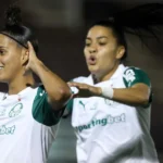 Copa do Brasil decide campeã entre Ferroviária e Palmeiras