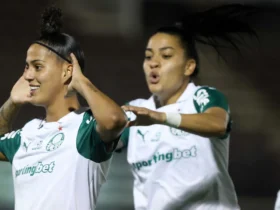 Copa do Brasil decide campeã entre Ferroviária e Palmeiras