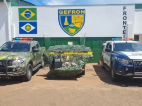 Polícia apreende 104 tabletes de drogas em Mirassol D’Oeste