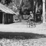 Igualdade em foco nos 190 anos da ALMT
