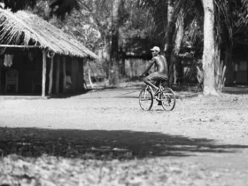 Igualdade em foco nos 190 anos da ALMT