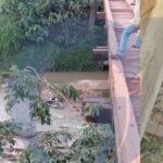 Homem morre em acidente de moto após cair de ponte em Mato Grosso