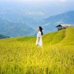 Lua crescente sobre horizonte urbano