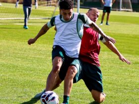 Chapecoense x América-MG: onde assistir, horário e prováveis escalações pela Série B. Imagem: Luiz Ferrazzo ACF