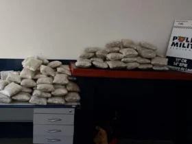 Apreensão de skunk gera prejuízo milionário às facções