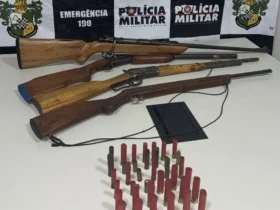 Prisão por comércio ilegal de armas em Lambari D’Oeste