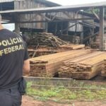 Ação ocorreu nas cidades de Brasnorte e Juína e cumpriu mandados de prisão e busca contra madeireiros suspeitos de crimes ambientais e ameaças a indígenas