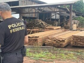 Ação ocorreu nas cidades de Brasnorte e Juína e cumpriu mandados de prisão e busca contra madeireiros suspeitos de crimes ambientais e ameaças a indígenas