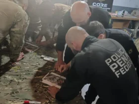Polícia Civil de MT treina forças federais em operações rurais