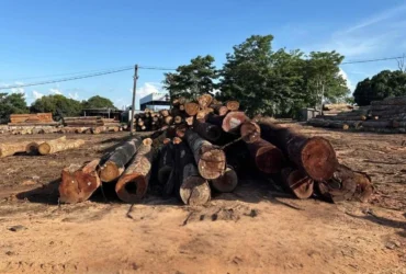 Polícia Civil avança em investigação sobre extração ilegal em Juína