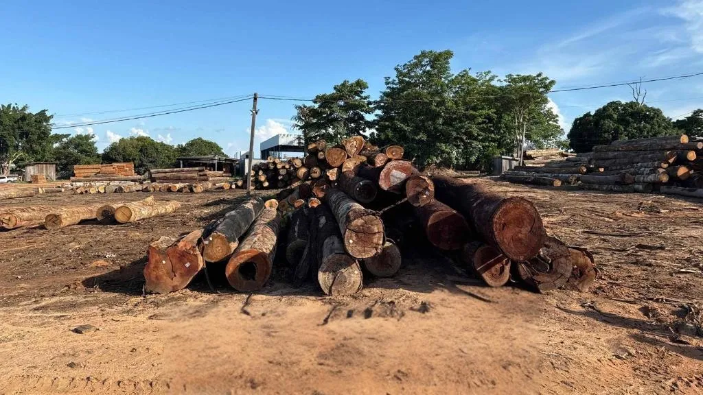 Polícia Civil avança em investigação sobre extração ilegal em Juína