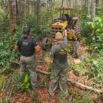 Ações contra desmatamento ilegal em Comodoro avançam