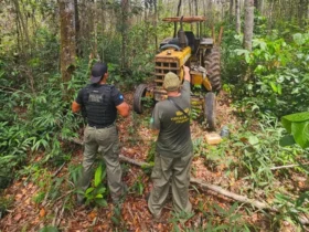 Ações contra desmatamento ilegal em Comodoro avançam