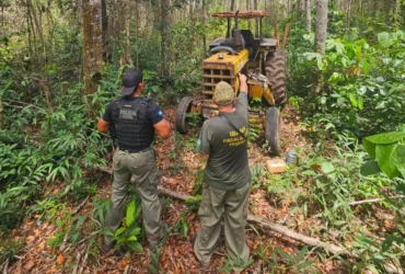 Ações contra desmatamento ilegal em Comodoro avançam