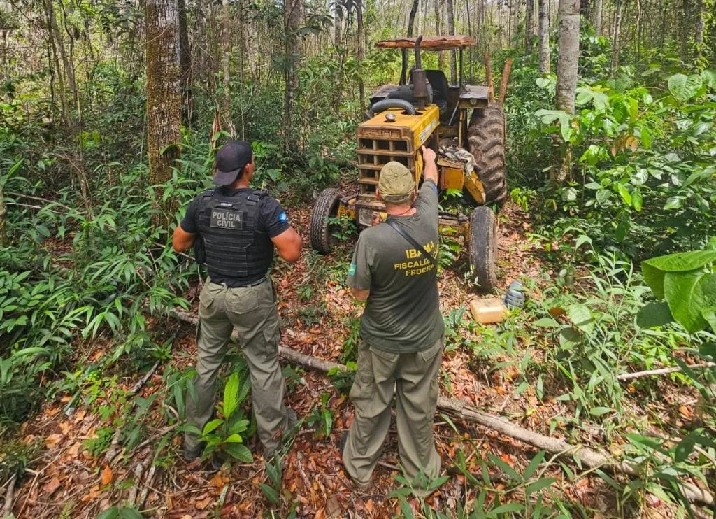 Ações contra desmatamento ilegal em Comodoro avançam