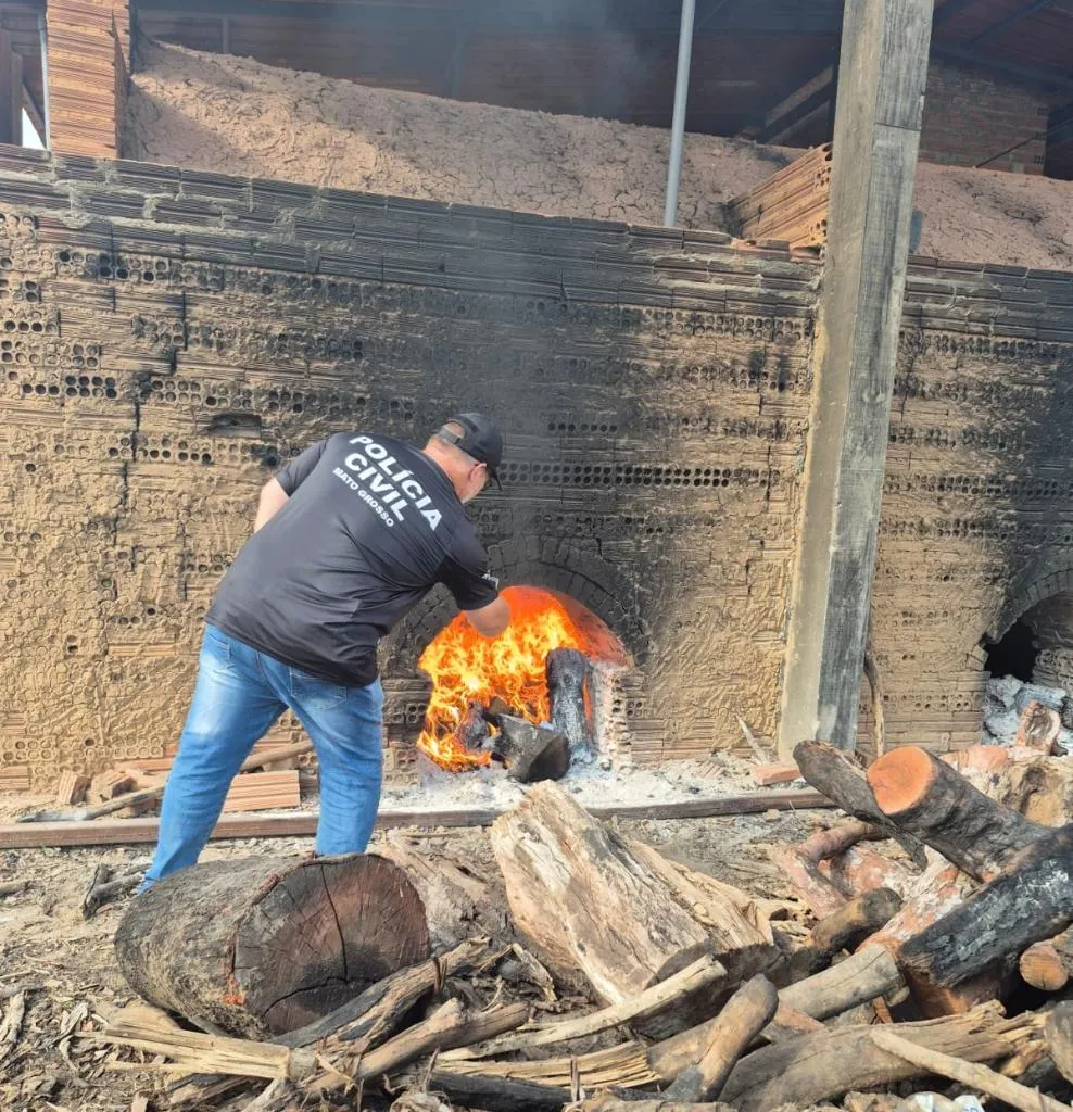 PC realiza incineração de entorpecentes em Alto Boa Vista