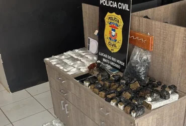 Polícia Civil prende mulher em ação na Primaverinha