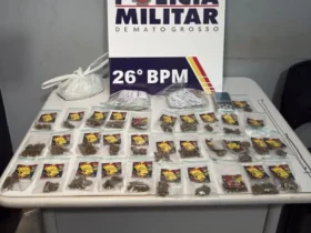 PM apreende drogas em ação contra tráfico ilícito de drogas