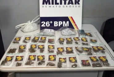 PM apreende drogas em ação contra tráfico ilícito de drogas