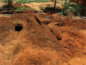 PM encontra cadáver enterrado em quintal e prende três em Água Boa