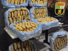 PM apreende 240 tabletes de maconha em Várzea Grande