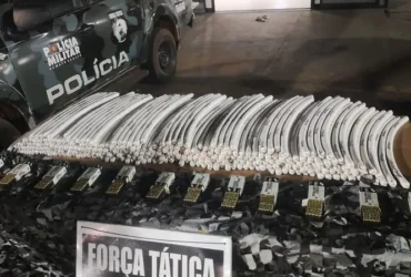 PM apreende explosivos e munições em Pontes e Lacerda
