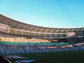 Torcida_do_Fluminense_Maracana_e3720097da