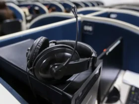 Violência: canal de atendimento para mulheres durante a COP30