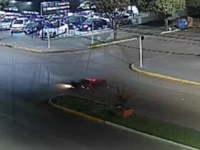 Mulher foi encontrada desacordada, sem capacete e com sangramento intenso; pessoa que a acompanhava fugiu do local a pé